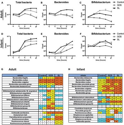 Corrigendum: Sialyllactose and Galactooligosaccharides Promote Epithelial Barrier Functioning and Distinctly Modulate Microbiota Composition and Short Chain Fatty Acid Production In Vitro